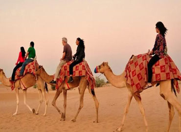 Dubai Camel Ride