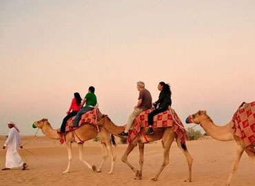 camel ride dubai Tours
